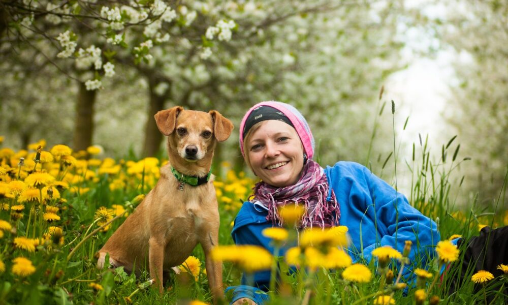 WindRose Health Investors Launches WindRose Gradient, a Dedicated Technology Services Team to Support Portfolio Company AI Capabilities - PR Newswire